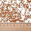 11/0 FGB Grade A Transparent Glass Seed Beads X-SEED-Q006-F24-3