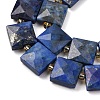 Natural Lapis Lazuli Beads Strands G-F839-A34-01-4