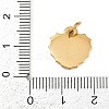 304 Stainless Steel Pendants STAS-K307-02D-G-3