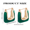 1 Pair Alloy with Resin Hoop Earrings for Women EJEW-LP0004-71A-2