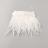 Fashion Ostrich Feather Trimming DIY-WH20012-08B-1