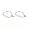 Non-Tarnish 304 Stainless Steel Hoop Earrings STAS-I149-11P-3