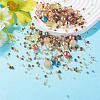 1Bag Mixed Styles Glass Beads GLAA-TADJ0001-10F-4