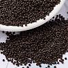 MIYUKI Round Rocailles Beads X-SEED-G009-RR0409-1