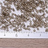 MIYUKI Delica Beads Small X-SEED-J020-DBS0123-4
