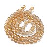 Frosted Transparent Glass Bead Strands GLAA-P065-10mm-02-5