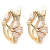 Brass with Cubic Zirconia Hoop Earrings EJEW-D078-43G-1