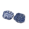 Natural Blue Spot Jasper Carved Cabochons G-I395-A06-2