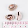 Natural Cowrie Shell Beads X-BSHE-S053-3