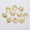 304 Stainless Steel Charms LS-X-STAS-F160-31G-1