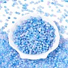 Baking Paint Glass Beads DGLA-T005-01A-05-1