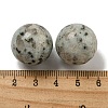 Natural Sesame Jasper Round Ball Figurines Statues for Home Office Desktop Decoration G-P532-02A-22-3