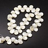 Natural Trochid Shell/Trochus Shell Beads Strands SSHEL-K009-06-2