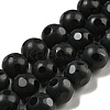 Natural Black Onyx Round Bead Strands G-L271-02-10mm-1