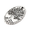 Tibetan Style Alloy Pendants LS-FIND-A053-05C-AS-2
