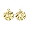 304 Stainless Steel Charms STAS-L269-062G-2