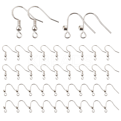 40Pcs 2 Style Brass Earring Hooks KK-PH0002-71-1