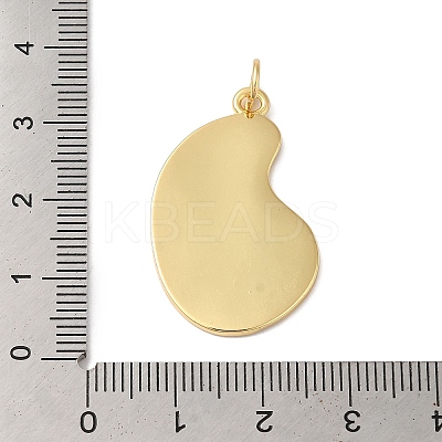 Brass Enamel Pendants KK-L216-005G-1