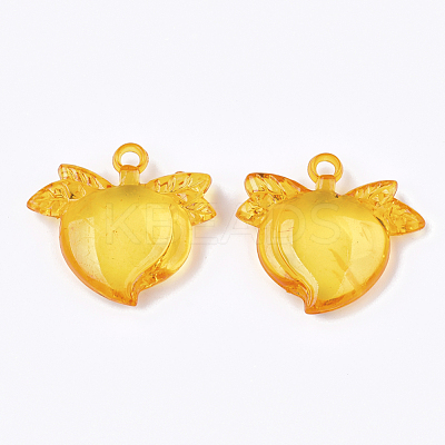 Transparent Acrylic Pendants TACR-S133-039-1