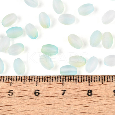 Frosted Glass Seed Beads SEED-N008-05F-1