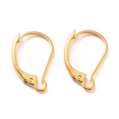 304 Stainless Steel Leverback Earring Findings STAS-K233-04G-1