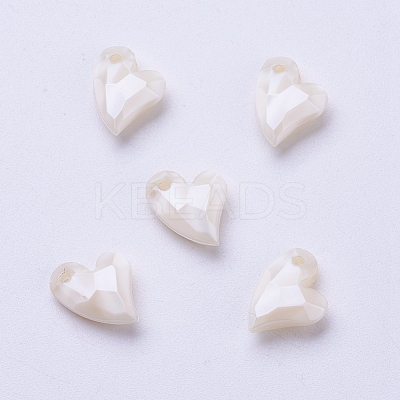 Acrylic Pendants X-MACR-P120-11mm-P13-1