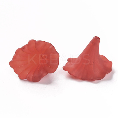 Transparent Acrylic Beads BSF796-C12-1