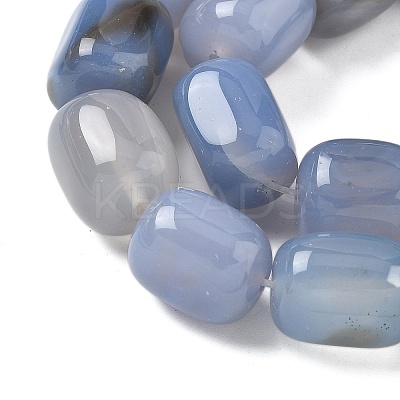 Natural Agate Beads Strands G-H295-F01-13-1