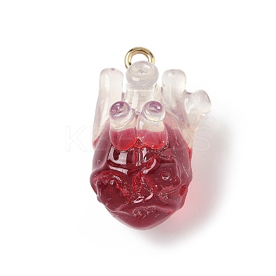 Transparent Resin Pendants CRES-D306-10G-A-1