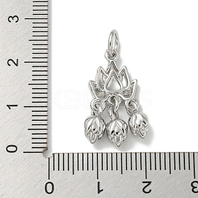 Brass Pendants KK-K378-10P-1