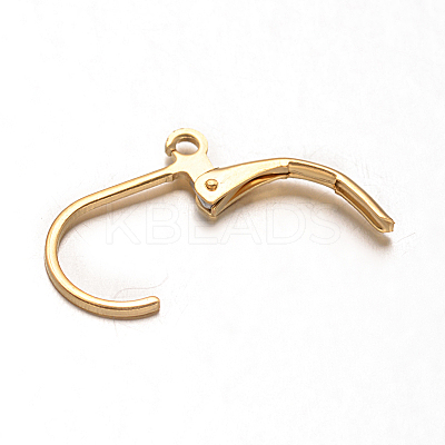 Ion Plating(IP) 304 Stainless Steel Leverback Earring Findings LS-STAS-F075-37-1