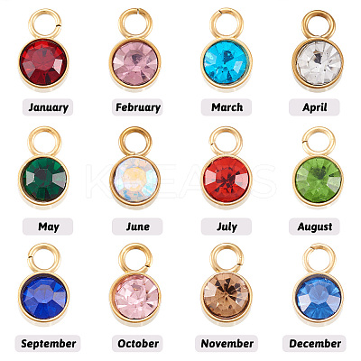 24Pcs 12 Colors Glass Rhinestone Charms STAS-TA0002-68-1