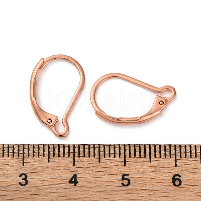 304 Stainless Steel Leverback Earring Findings STAS-K233-04RG-1