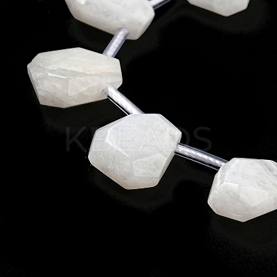 Natural Rainbow Moonstone Beads Strands G-Z040-A06-01-1