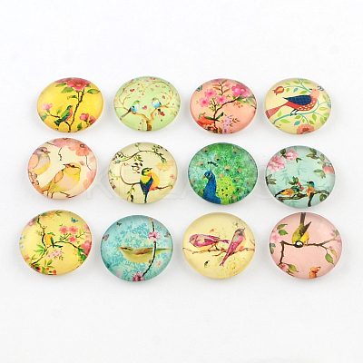 Half Round/Dome Bird Pattern Glass Flatback Cabochons for DIY Projects X-GGLA-Q037-25mm-M07-1
