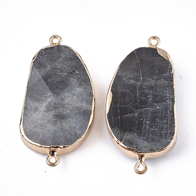 Electroplate Natural Labradorite Links Connectors G-S344-70C-01-1