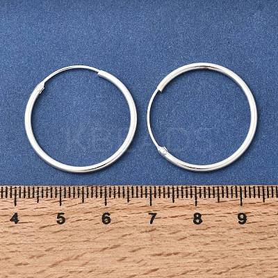Brass Hoop Earrings EJEW-G474-01S-04-1