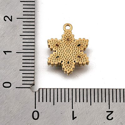 304 Stainless Steel Micro Pave Cubic Zirconia Pendants Charms STAS-K256-27G-01-1