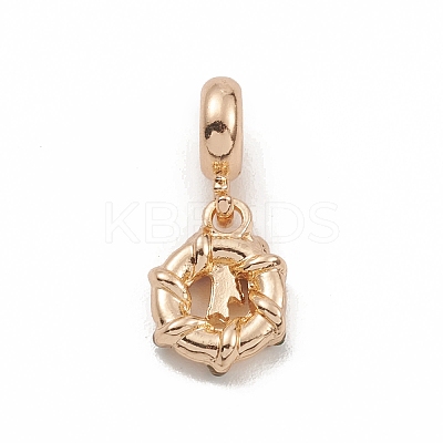 Alloy Rhinestone European Dangle Charms PALLOY-I218-22KCG-1