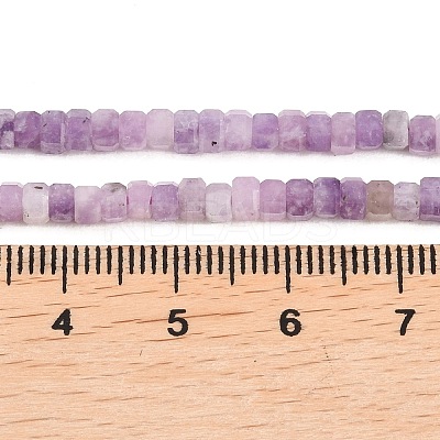 Natural Lepidolite/Purple Mica Stone Beads Strands G-G345-C18-2x4mm-1