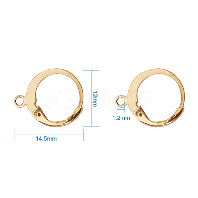 304 Stainless Steel Leverback Earring Findings A-STAS-G081-62G-1