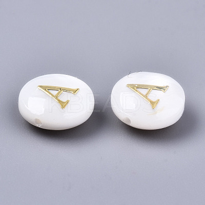 Natural Freshwater Shell Beads SHEL-S266-12A-1