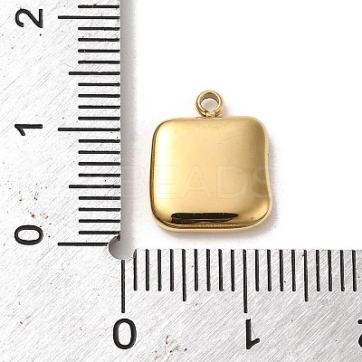 304 Stainless Steel Charms STAS-L022-273G-1