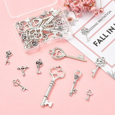 30Pcs 10 Styles Tibetan Style Alloy Pendants TIBEP-YW0002-07-1