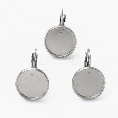 Tarnish Resistant 304 Stainless Steel Leverback Earring Findings LS-STAS-L253-005C-P-1