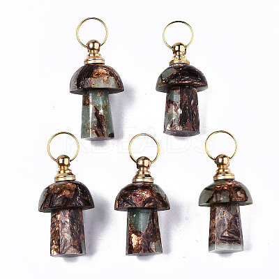 Assembled Synthetic Bronzite and Aqua Terra Jasper Openable Perfume Bottle Pendants LS-G-S366-057B-1