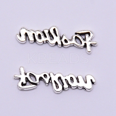 Alloy Cabochons Accessories PALLOY-WH0072-58AS-1