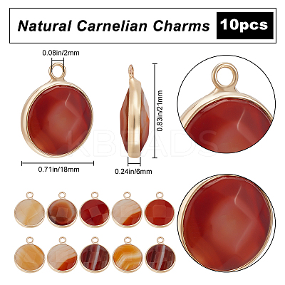 10Pcs Natural Red Agate Dyed Pendants G-BBC0001-37B-1