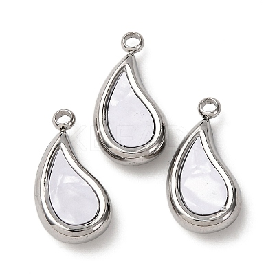 304 Stainless Steel Resin Pendants STAS-P406-15G-P-1