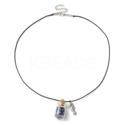Glass Bottle & Alloy Sea Horse Pendant Necklace NJEW-FZ00014-1